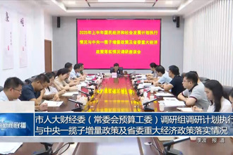 市人大财经委（常委会预算工委）调研组调研计划执行与中央一揽子增量政策及省委重大经济政策落实情况