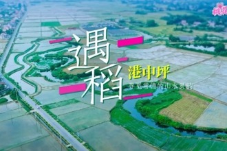 【鼎城】遇“稻”港中坪 ——寻觅常德的山水灵韵