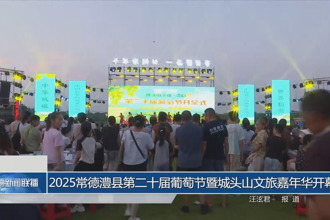 2025常德澧县第二十届葡萄节暨城头山文旅嘉年华开幕
