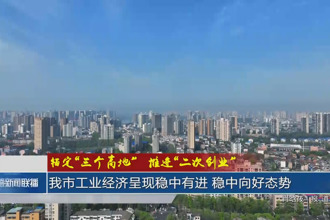 锚定“三个高地”推进“二次创业”(8月2日)