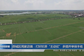 鼎城区周家店镇：打好抗旱“主动仗” 多措并举保丰收