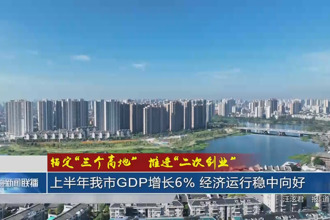 锚定“三个高地”推进“二次创业”(8月3日)