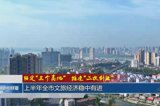 锚定“三个高地”推进“二次创业”(8月4日)