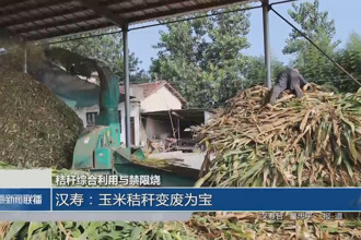 汉寿：玉米秸秆变废为宝