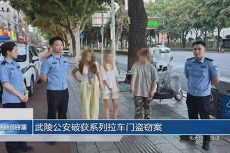 武陵公安破获系列拉车门盗窃案