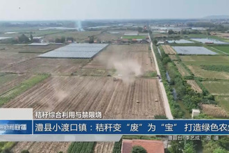 澧县小渡口镇：秸秆变“废”为“宝” 打造绿色农业