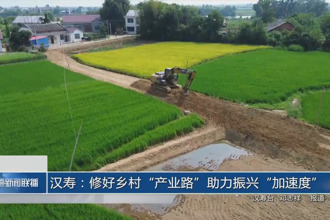 汉寿：修好乡村“产业路”助力振兴“加速度”