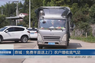 鼎城：免费羊苗送上门 农户增收底气足