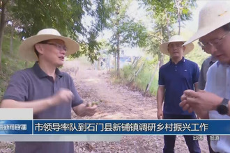 市领导率队到石门县新铺镇调研乡村振兴工作