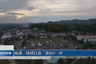 桃源：持续打造“茶BA”IP