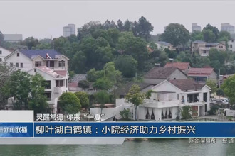 灵醒常德 你来“一夏”(8月9日)