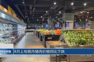8月上旬常德猪肉价格同比下跌