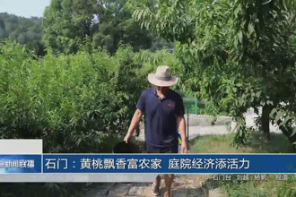 石门：黄桃飘香富农家 庭院经济添活力