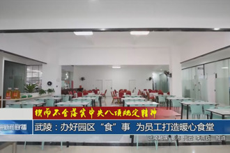 武陵：办好园区“食”事 为员工打造暖心食堂