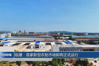 临澧：首家新型农批市场即将正式运行