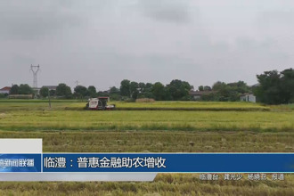 临澧：普惠金融助农增收