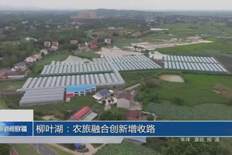 柳叶湖：农旅融合创新增收路