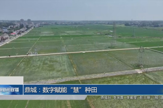 鼎城：数字赋能“慧”种田