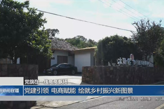 党建引领 电商赋能 绘就乡村振兴新图景