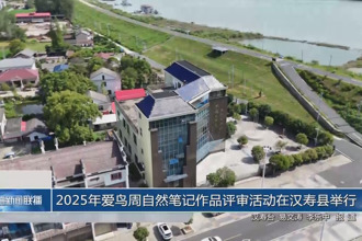 2025年爱鸟周自然笔记作品评审活动在汉寿县举行