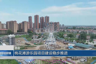 澧县：桃花滩游乐园项目建设稳步推进