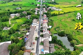 【汉寿】黄岩路升级：连民生 通产业​