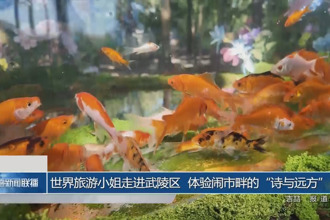 世界旅游小姐走进武陵区 体验闹市畔的“诗与远方”