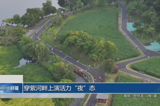 穿紫河畔上演活力“夜”态