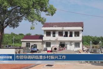 市领导调研临澧乡村振兴工作