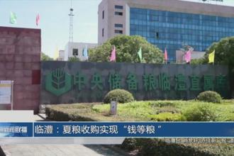 临澧：夏粮收购实现“钱等粮”