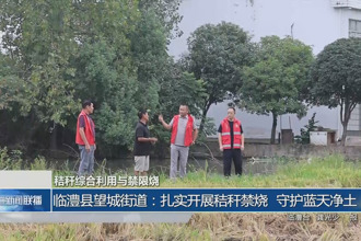 临澧县望城街道：扎实开展秸秆禁烧 守护蓝天净土