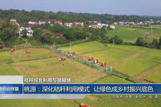 桃源：深化秸秆利用模式 让绿色成乡村振兴底色