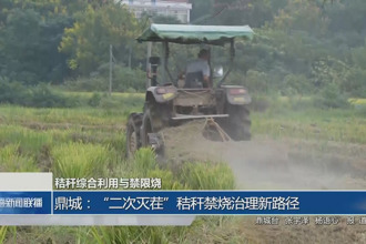 鼎城：“二次灭茬”秸秆禁烧治理新路径