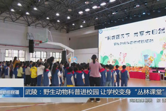 武陵：野生动物科普进校园 让学校变身“丛林课堂”