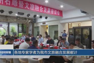 各地专家学者为我市文旅融合发展献计