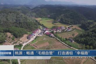 桃源：畅通“毛细血管”打造能组“幸福路”