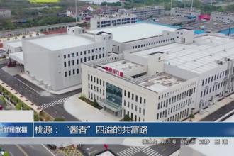 桃源：“酱”香四溢的共富路