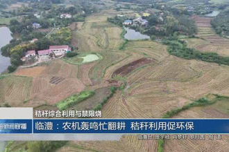 临澧：农机轰鸣忙翻耕 秸秆利用促环保