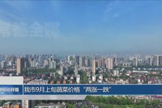 我市9月上旬蔬菜价格“两涨一跌”