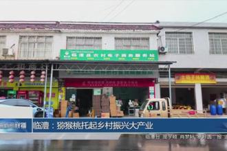 临澧：猕猴桃托起乡村振兴大产业