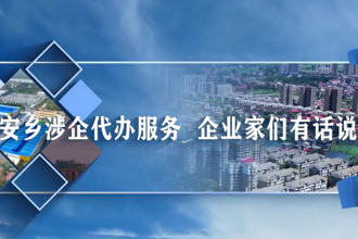 安乡涉企代办服务 企业家们有话说