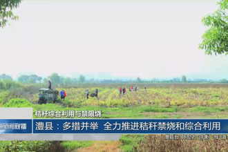 澧县：多措并举 全力推进秸秆禁烧和综合利用