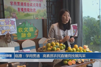 临澧：学用贯通 高素质农民直播竞技展风采