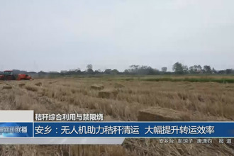 安乡：无人机助力秸秆清运 大幅提升转运效率