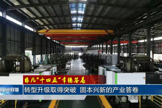 转型升级取得突破 固本兴新的产业答卷