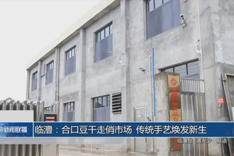 临澧：合口豆干走俏市场 传统手艺焕发新生