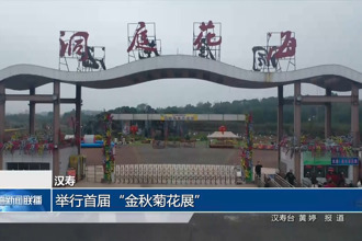 汉寿：举行首届“金秋菊花展”