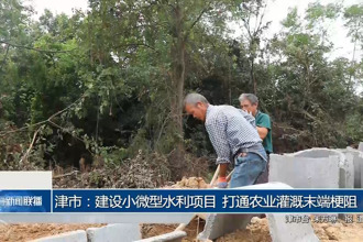 津市：建设小微型水利项目 打通农业灌溉末端梗阻