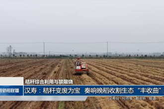 汉寿：秸秆变废为宝 奏响晚稻收割生态“丰收曲”