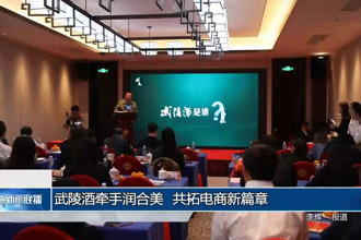 武陵酒牵手润合美 共拓电商新篇章